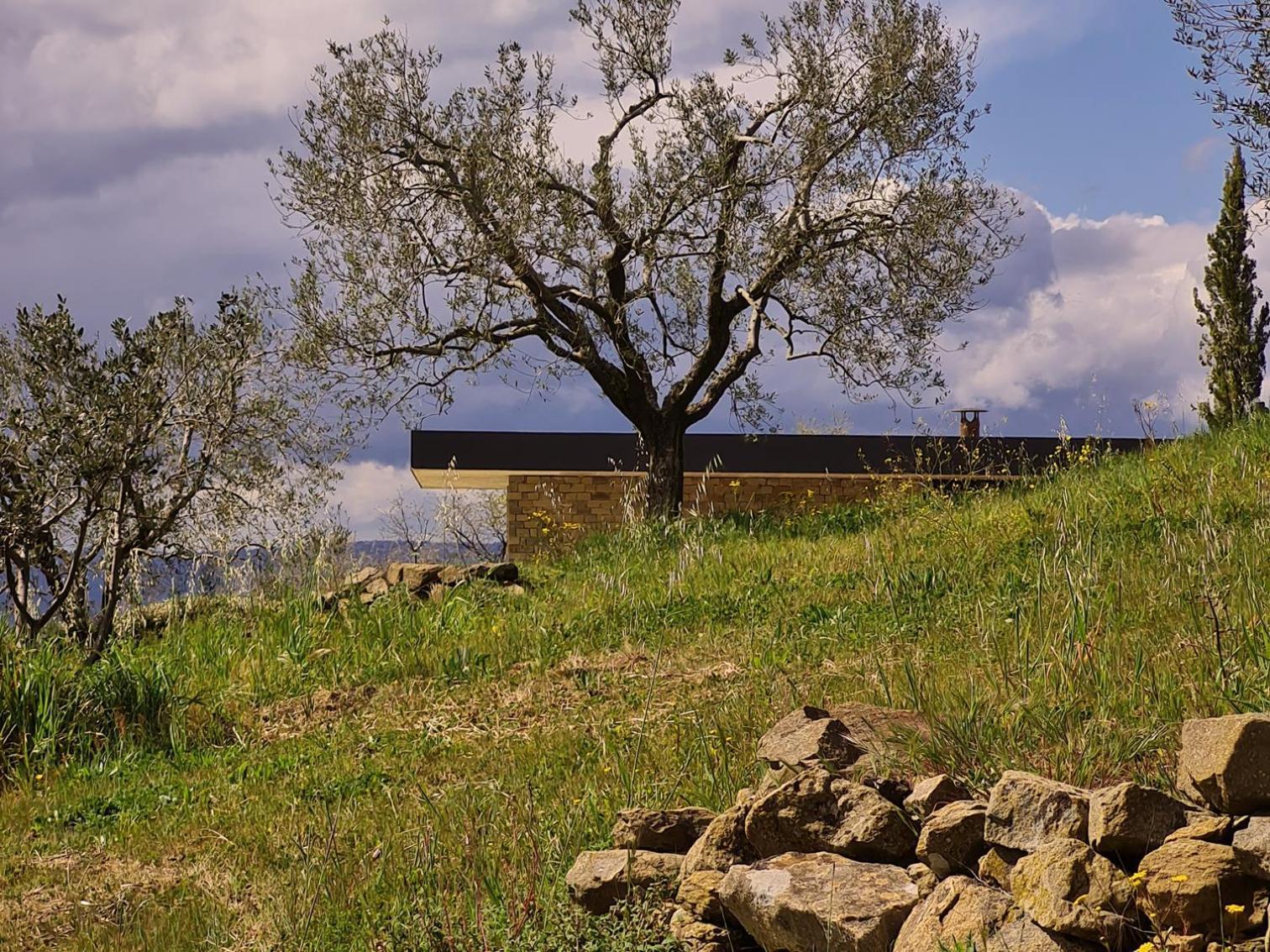 Poggio Cagnano Bed & Breakfast Manciano Eksteriør bilde